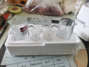 青苹果白酒杯分酒器套装一口杯茅台小酒杯刻度16件套家用饭店用 实拍图