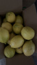 京鲜生 南非进口柠檬12粒装 单果约80g+ 新鲜水果 源头直发 包邮 实拍图