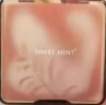 Sweet mint高光修容盘一体细腻幽然雅韵珠光提亮哑光侧影阴孕产妇彩妆粉饼 高光修容02树影盘一盒 实拍图