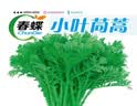 春蝶蔬菜种子四季播盆栽阳台庭院黄瓜豆角番茄甜瓜易种籽孑大全 小叶茼蒿【原装1包 约800粒】 一包(试种贵在快递费) 实拍图