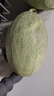正宗脆甜西州蜜哈密瓜现摘头茬蜜瓜新鲜当季水果现摘水果 5斤带箱(净重4-5斤)2-3个 精选装 实拍图