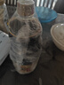 海天 生抽酱油 1.9L【0添加特级 松茸酱油提鲜】松茸味极鲜系列 实拍图