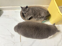 疯狂的主人猫抓板窝特大号猫玩具猫爪板猫抓盆不掉屑猫窝椭圆形瓦楞纸 实拍图
