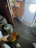 狩猎王激光炮P100分体头灯强光充电超亮头戴式手电筒远射户外钓鱼疝气矿灯超长续航大功率8锂电 P160爆亮四核【白光】八锂电 四档调光可手机充电 实拍图