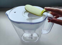 碧然德（brita） 【孙颖莎推荐】家用净水壶 滤水壶滤芯 MAXTRA+LE 去水垢专家版滤芯 设计师水壶绿色+专家版滤芯12枚 实拍图