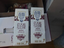 天友 红百特牛奶250ml*12盒（礼盒装）红枣枸杞红米 营养早餐奶 实拍图