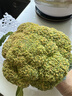 紫溪山嫩黄瓜约550g 实拍图