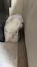 德亚（Weidendorf）德国进口全脂高钙纯牛奶200ml*24盒优质乳蛋白学生营养早餐 实拍图