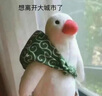 丽丽贝尔LilyBell全棉化妆棉卸妆棉湿敷洁面拍水卸甲222枚*3包 实拍图