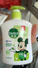 滴露（Dettol）洗手液茉莉绿茶清香500g*2 儿童洗手液补充装家庭抑菌消毒 迪士尼 实拍图