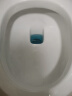 威猛先生（Mr Muscle） 洁厕宝 40g*5块 清香型 洁厕块 马桶清洁 蓝泡泡 超市同款 实拍图