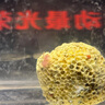 彩格适用惠普喷墨打印机墨水适用小米 爱普生连供填充彩色墨盒805XL 803 680 682墨盒 500ML通用墨水染料四色套装 实拍图