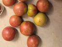 京鲜生 山东铁皮草莓西红柿 净重4.5斤 单果60-150g水果番茄源头直发 实拍图
