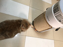 霍尼韦尔（Honeywell）宠物空气净化器吸猫毛除过敏源猫猫搭子 猫毛净化器杀菌消毒除异味【家电国家补贴】KJ360F-C22W 实拍图