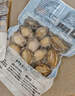 江船长无壳鲍鱼肉净重110g(12粒） 活鲍加工 火锅烧烤海鲜水产  生鲜 实拍图