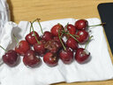 静羽智利车厘子4J级【JD/顺丰-多地次日达】5kg樱桃水果年货礼品盒装 2斤(净重) 精品礼盒【较划算】 超级巨无霸4J 单果32-34mm 实拍图