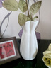 京东鲜花陶瓷花瓶高级感奶油风插花器水养鲜花玫瑰客厅餐桌装饰简约摆件 实拍图