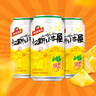 青岛啤酒（TsingTao）汉斯小木屋菠萝啤果啤整箱听装 330mL 12罐 实拍图