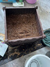 德沃多肥料草莓专用营养土15L园艺绿植瓜果蔬菜有机土壤阳台盆栽农家种植土 实拍图