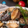 海鲜世家去冰净重鲍鱼仔1斤 60-72粒 家庭聚餐小海鲜煲粥火锅食材 实拍图