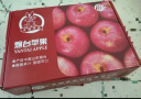 京鲜生 烟台红富士苹果 净重5.2斤/12粒  单果190-240g  生鲜礼盒 实拍图