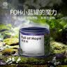 希望树 去除甲醛果冻除醛剂11罐装 foh真除醛新房家用甲醛清除剂  除甲醛果冻魔盒*11罐 实拍图