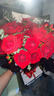 百花馆鲜花速递玫瑰花束生日礼物女士真花礼品送女友老婆同城配送当日达 【不俗爱意】21朵红玫+红豆+尤加利|dyr60 实拍图