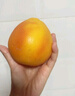 京鲜生 南非红心西柚/葡萄柚净重5斤装 单果220g起 新鲜水果 实拍图