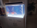 森森（SUNSUN）鱼缸水族箱客厅家用生态桌面金鱼缸免换水懒人鱼缸一体缸自循环 HE-600内置棉和滤材（物流发货） 实拍图