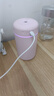Hulker 【10W+销量加湿器】加湿器 卧室迷你家用办公室桌面车载低噪上加水小型usb空气加湿器 【粉色】420ml大容量/低噪加湿/定时断电 实拍图