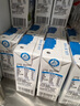 伊利 纯牛奶整箱250ml*21盒 全脂牛奶 优质乳蛋白 礼盒装 3月底产 实拍图
