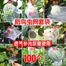 yuanyiba水果套袋防鸟防虫专用网袋葡萄无花果苹果芒果草莓桃子保护袋子 20x30cm/50个白色透/火龙果葡萄 实拍图