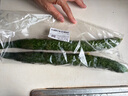 长黄瓜约600g 实拍图