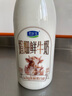 君乐宝4.0g蛋白娟姗 鲜牛奶950ml*2 巴氏杀菌乳 低温奶 鲜奶 实拍图