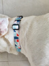 多尼斯（DOGNESS）宠物发光项圈狗狗LED灯外出夜光防丢遛狗牵引绳柴犬金毛边牧 L码 实拍图