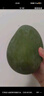 京鲜生 攀枝花凯特芒果 净重8.5斤 单果410g+ 生鲜水果 源头直发 实拍图