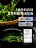 PAUL FRANK100%新疆棉防臭袜子男船短袜防臭夏季网眼7A抗菌夏季运动袜7双 实拍图