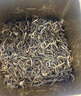 张一元茶叶茉莉花茶毛尖新春茶冷泡浓香型伴手茶礼送礼品特种200g金罐装 实拍图