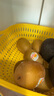 佳沛（zespri）新西兰 新果季 阳光金奇异果33粒原箱单果重约101-114g 猕猴桃 实拍图