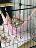 星帮尼宠物次氯酸消毒液猫咪狗狗除臭剂全屋家用室内杀菌专用喷雾猫藓 实拍图