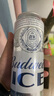 百威冰啤酒500ml*18听整箱装【99%好评】  实拍图