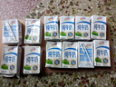 伊利5月纯牛奶优质乳蛋白学生成人早餐奶整箱250ml 【4月】250ml*12盒散装 实拍图