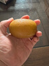 佳沛（zespri）新西兰 阳光金奇异果12粒礼盒特大果单果约122-146g 猕猴桃 水果 实拍图