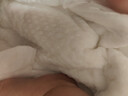babycare皇室狮子王国弱酸纸尿裤大号L40片(9-14kg)婴儿尿不湿亲肤透气 实拍图