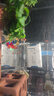 森森（SUNSUN）耀蓝鱼缸水泵小型潜水泵过滤泵抽水泵YQP-1000 15W 实拍图
