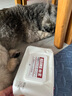 KOJIMA 宠物湿巾猫咪除臭去污猫狗犬猫通用湿巾猫咪狗狗擦泪痕全身清洁 【家庭超值装】湿巾80片*10袋 实拍图