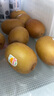 佳沛（zespri）新西兰  阳光金奇异果25-27粒原箱特大果单果约122-146g  猕猴桃 实拍图