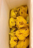 百味来Barilla宽卷形意大利面500g原装进口意面面条扁形速食盒装 实拍图