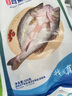仙泉湖三去白蕉海鲈鱼1斤/条净膛冷冻刺少肉厚珠海特产500g生鲜食材 实拍图