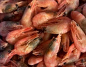 仁豪水产 熟冻北极甜虾 净重1斤 60-85只/袋 即食冰虾 解冻即食 家庭聚餐 实拍图